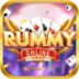 Rummy 41 Bonus