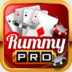 Rummy Pro