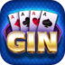 How To Play Gin Rummy