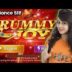 Joy Rummy Plus