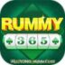 Rummy 365