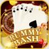 Rummy Bash