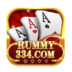 334 Rummy