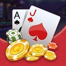 White Shark Teenpatti