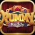 Rummy Buddy 51 Bonus