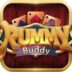 Rummy Buddy