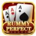 Rummy Perfect 3